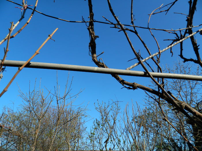 DSCN3149 - 2015_APRILIE