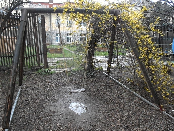 P4060331 - CALEIDOSCOP