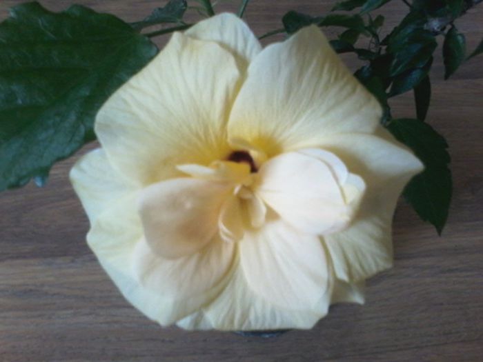 20150407_090110