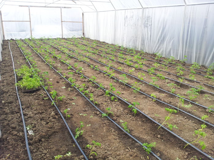 07.04.2015; DOAMNE AJUTA ...
