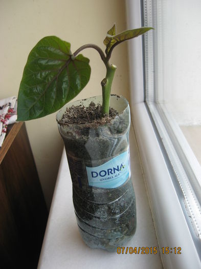 Pina acum este in regula.