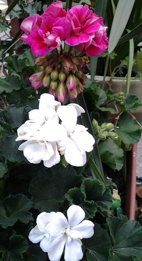 20150407_165552