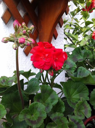 20150407_165655