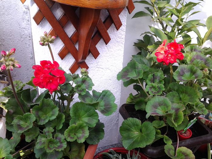 20150407_165701
