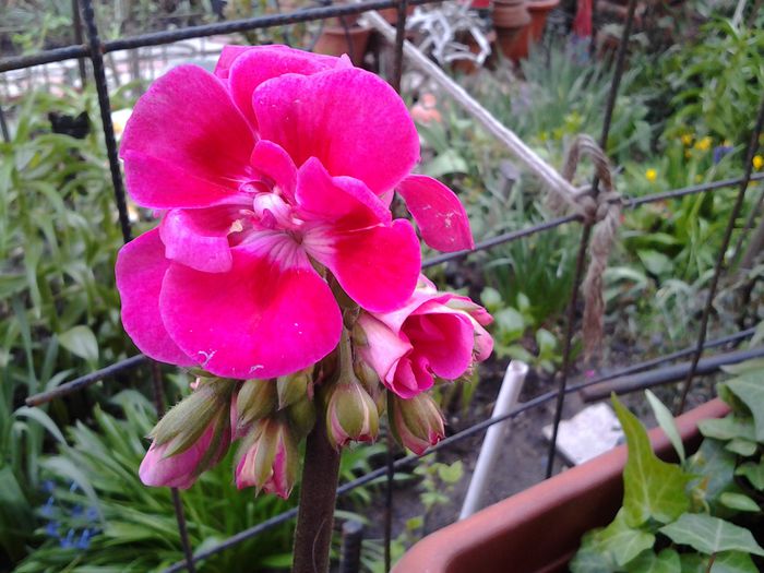 20150407_165534