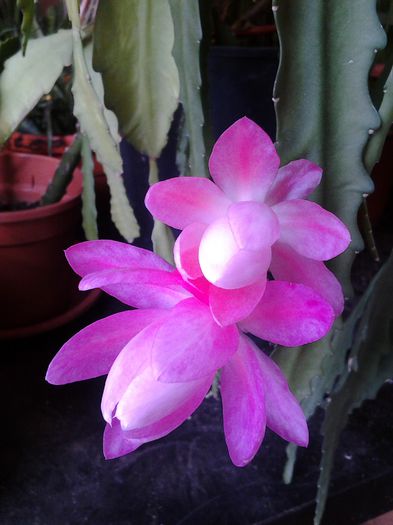 20150407_165042