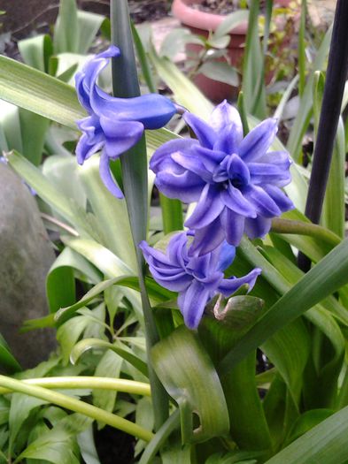 20150407_170024