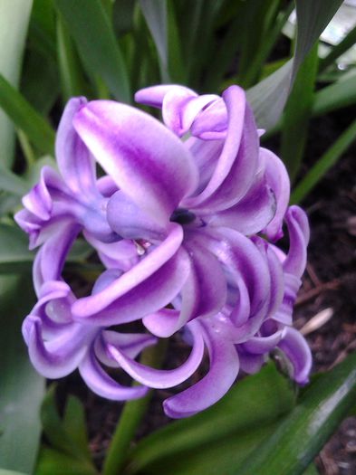 20150407_170008