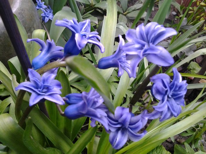 20150407_170035