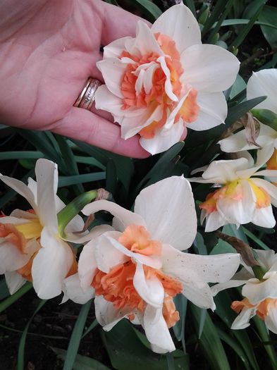 20150407_165820