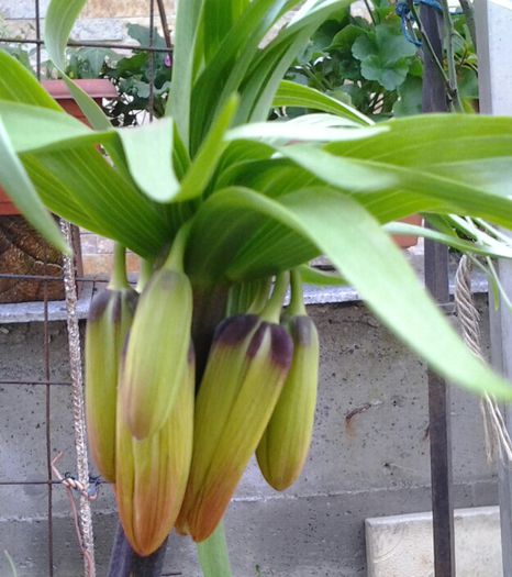 20150407_165833