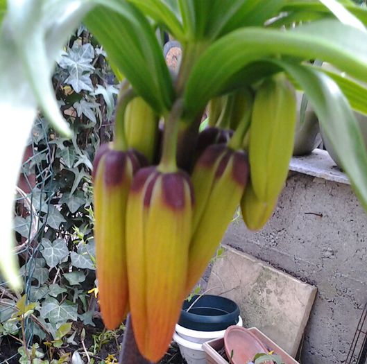 20150407_165938