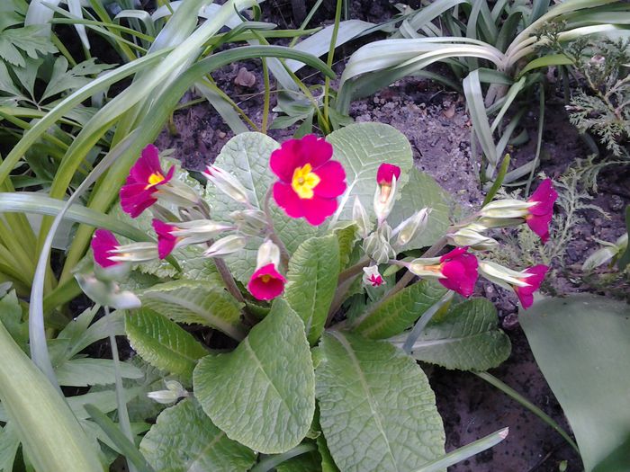 20150407_165958