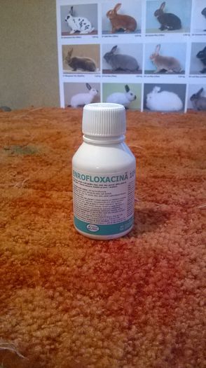 Enrofloxacina - Medicamente si accesorii pentru iepuri