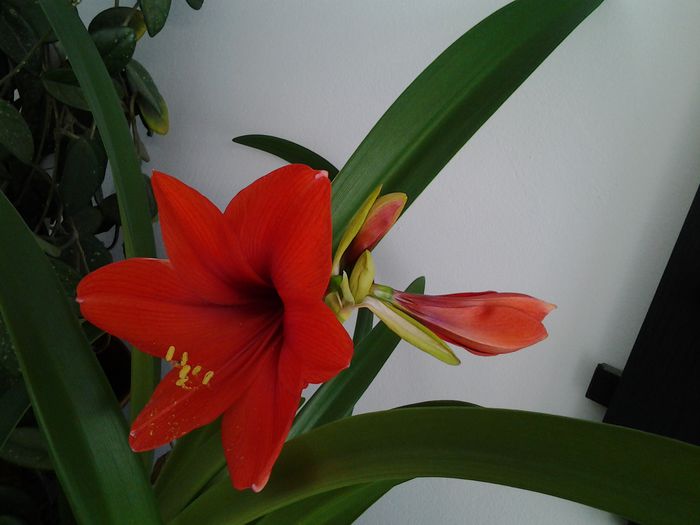 20150404_124319