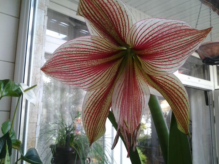 20150331_124402