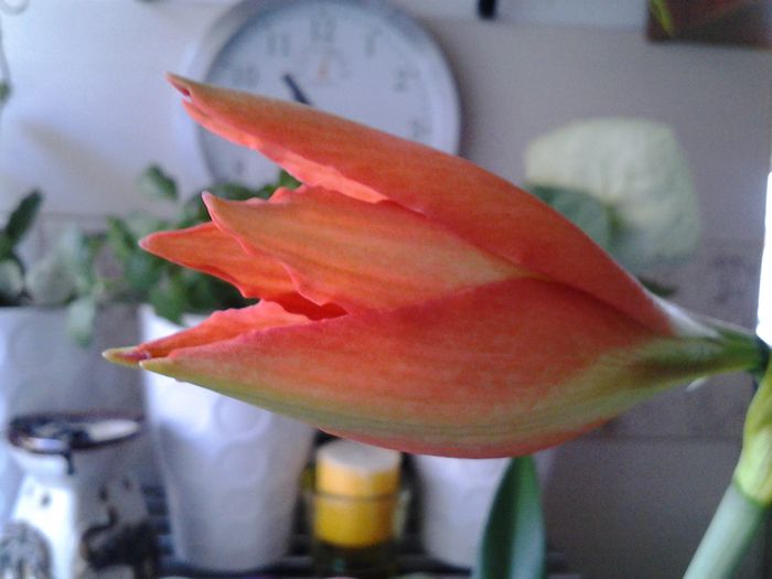 20150331_103805