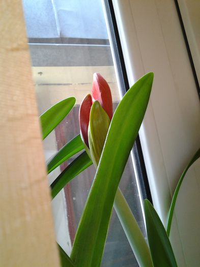 20150402_142715