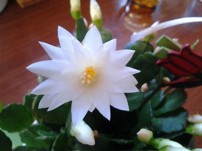20150326_082349