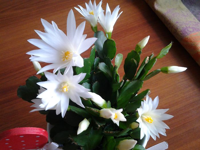 20150401_110231