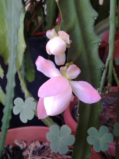 20150330_145706