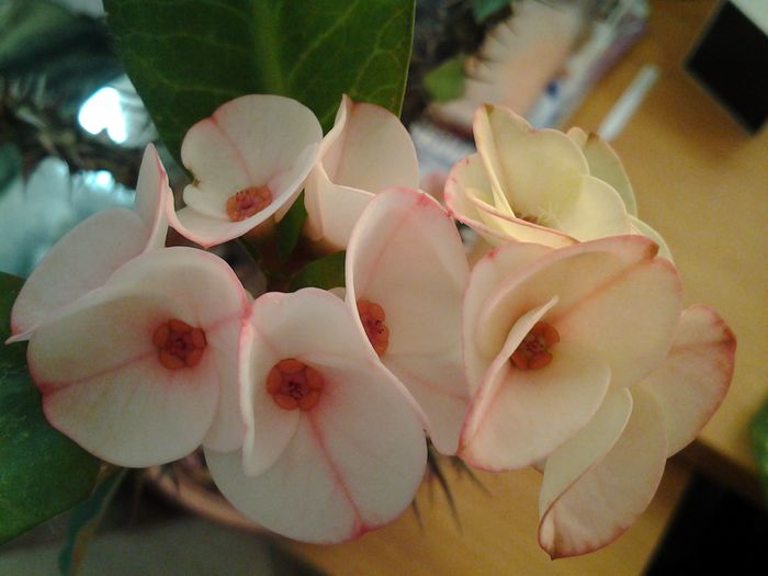 20150317_110412