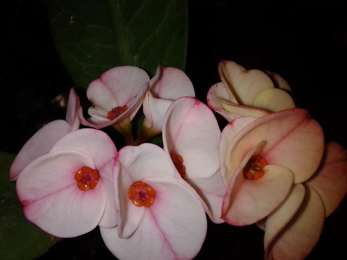 20150317_110432