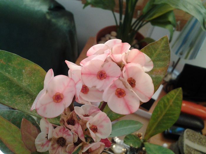 20150317_110332