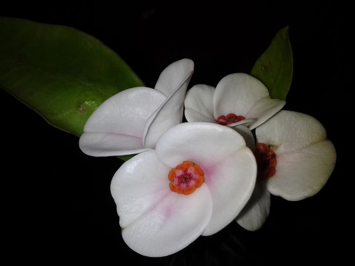 20150210_151650
