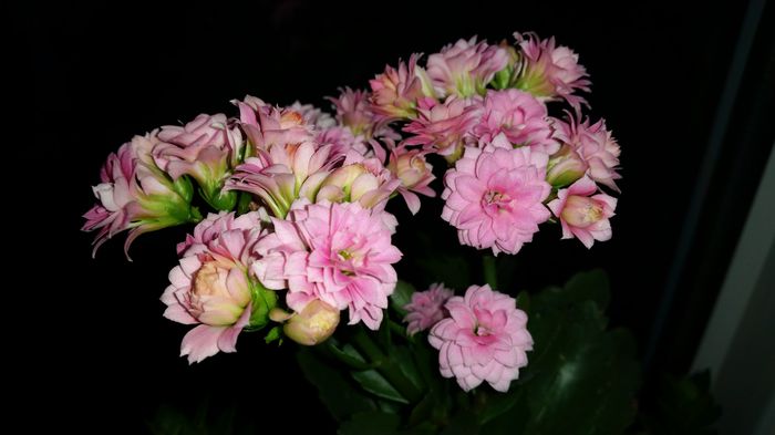 20150407_195611