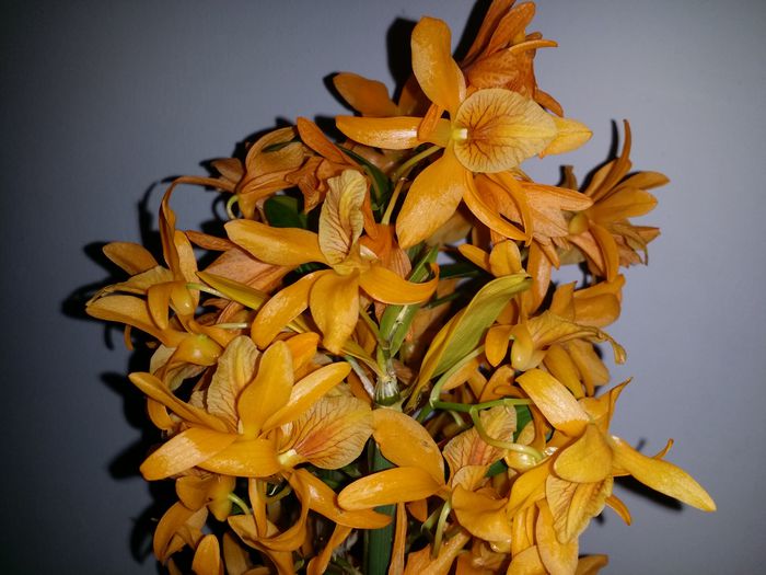 20150407_181737
