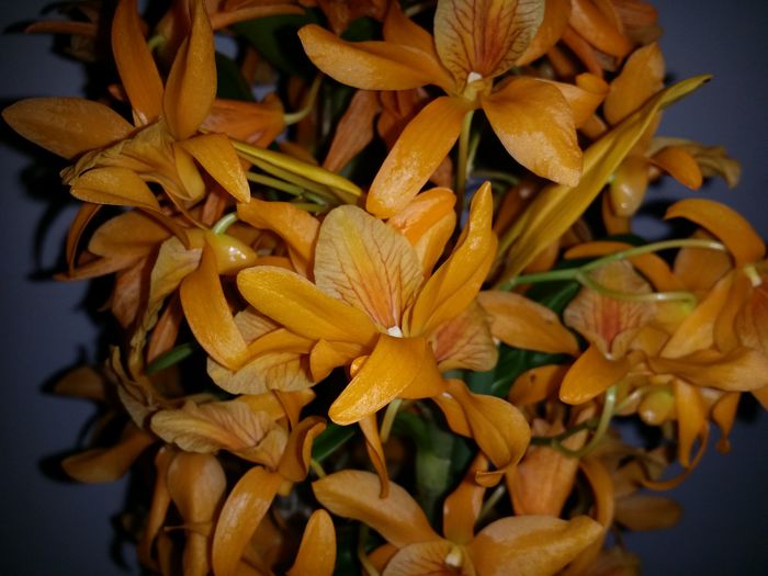 20150407_181655