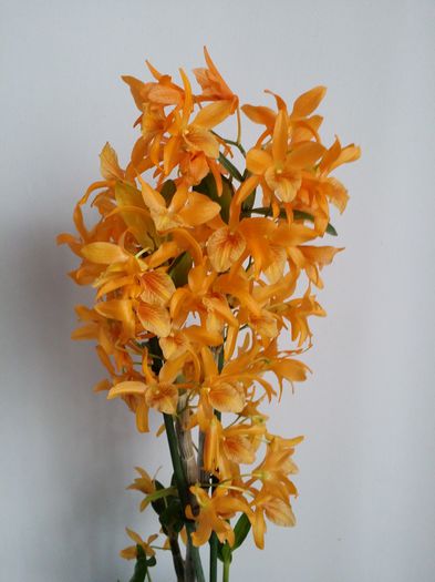20150407_181508