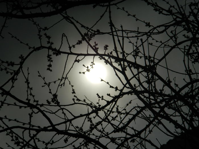 DSCN3370 - 2015_APRILIE