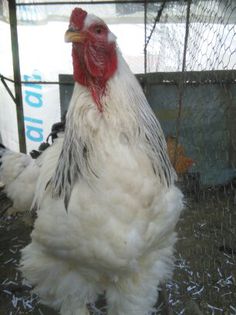 Martie-aprilie 2015 1424