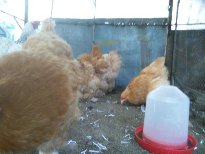 Martie-aprilie 2015 1488