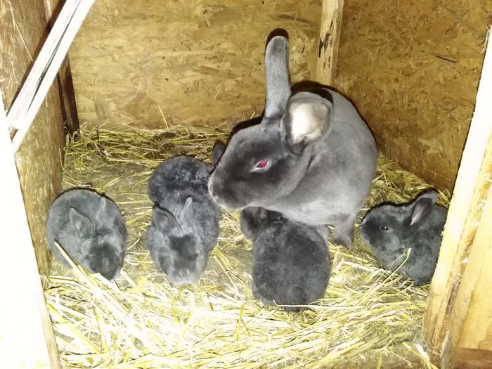 IMG_20150407_213902 - Z poze aprilie 2015