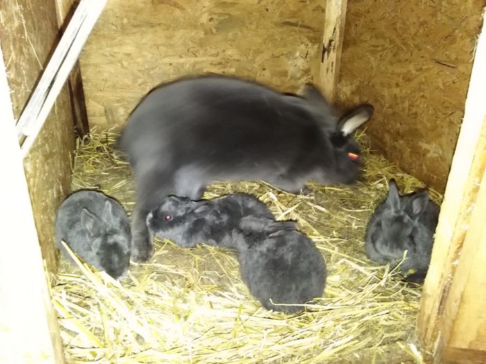 IMG_20150407_213858 - Z poze aprilie 2015