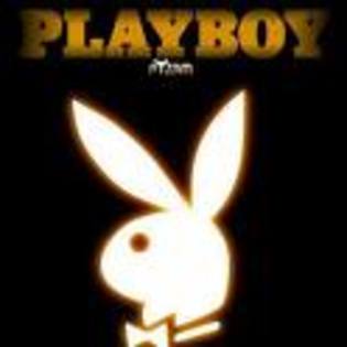 imagesffffffffffffffff - poze playboy