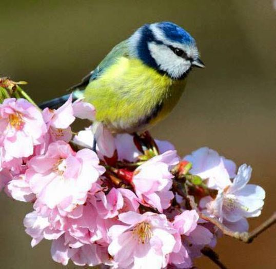  - FRUMUSETI  MONDIALE