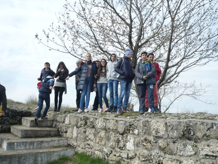 P1110533 - 2015 - 8 aprilie