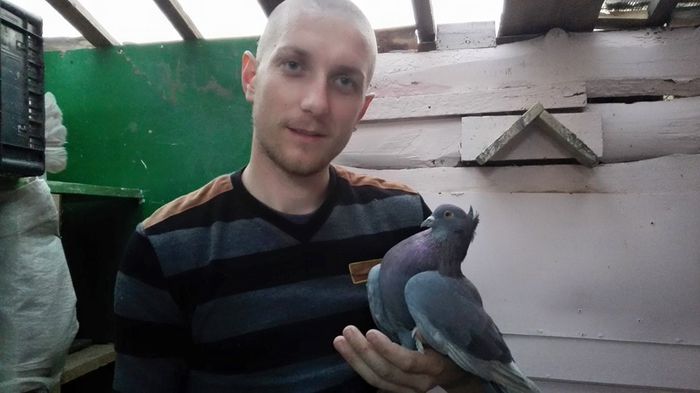 EU CU CIMPY - 1 CONTACT