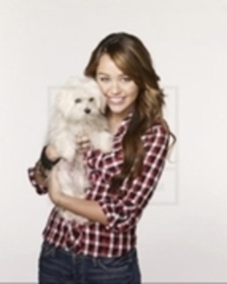 10156444_XGPPPMHGA - miley cyrus