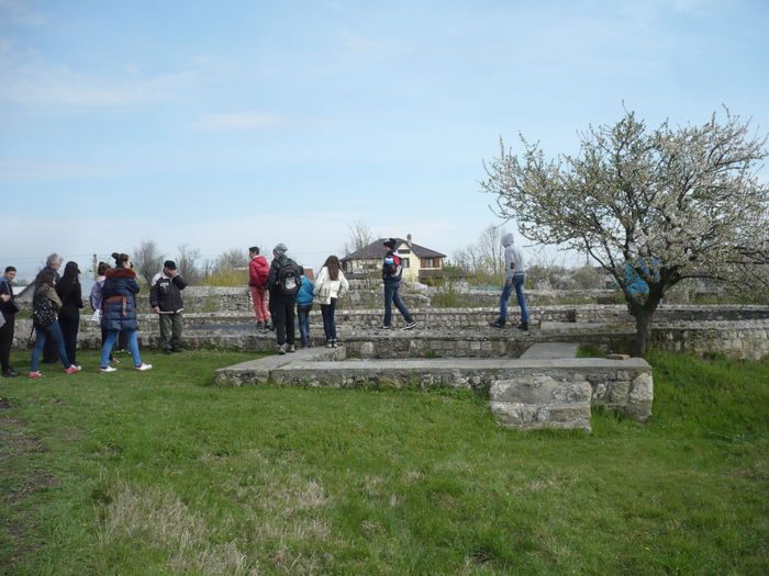 P1110519