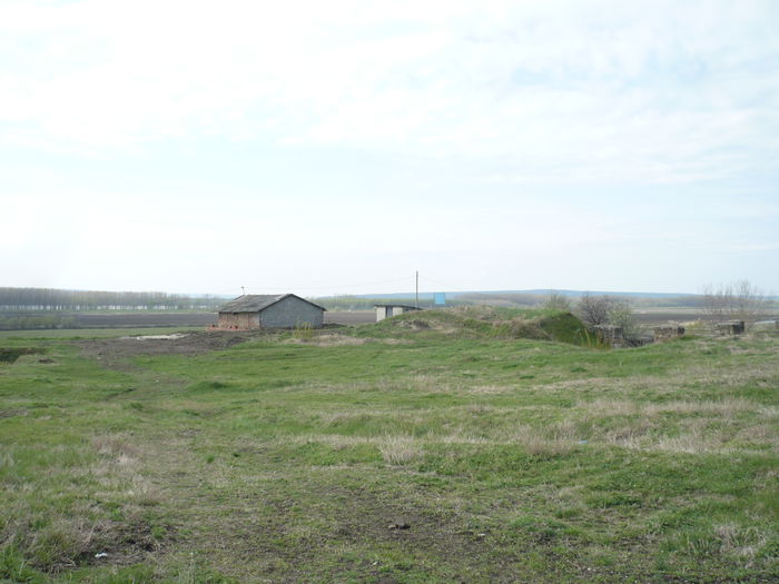 P1110529