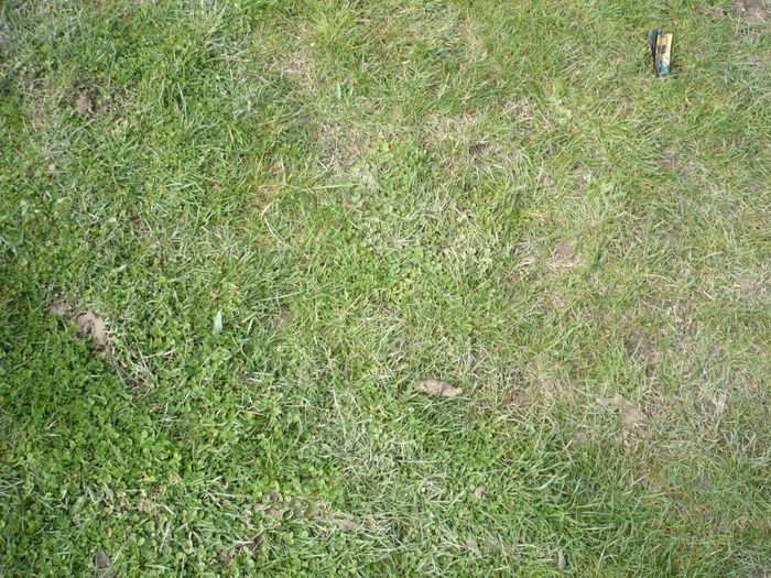 P1110537