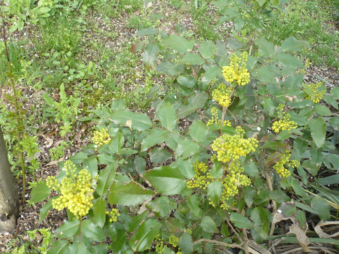 P1110544