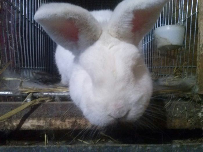 IMG-20150408-WA0011 - Z poze aprilie 2015