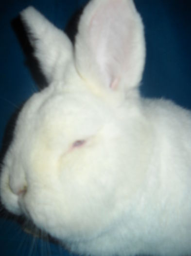 DSCN0968