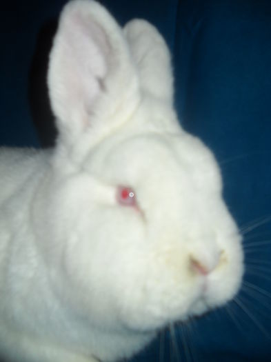 DSCN0971